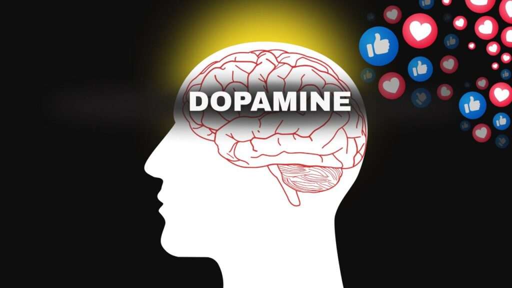 Habit: The Dopamine Loop Trap 3 What is Dopamine